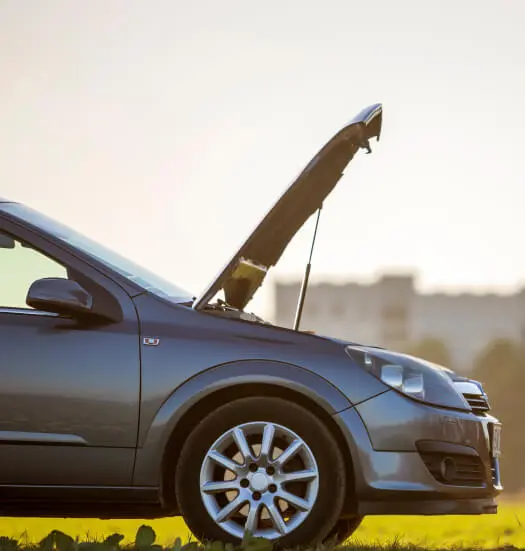 11+ Years Experiences